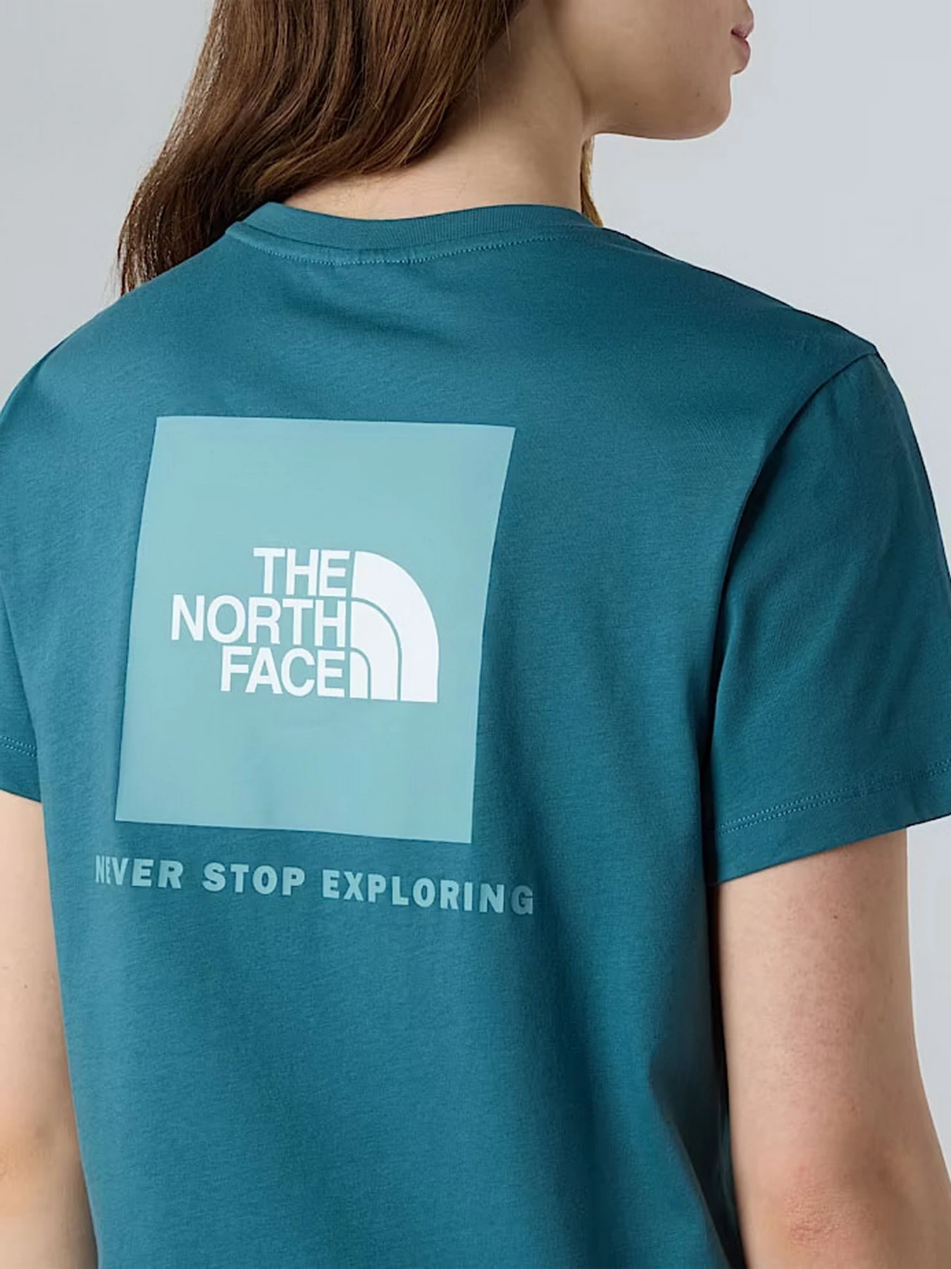Футболки и поло The North Face NSE Box модель NF0A87NKE311 Футболки и поло The North Face NSE Box модель NF0A87NKE311 Фото