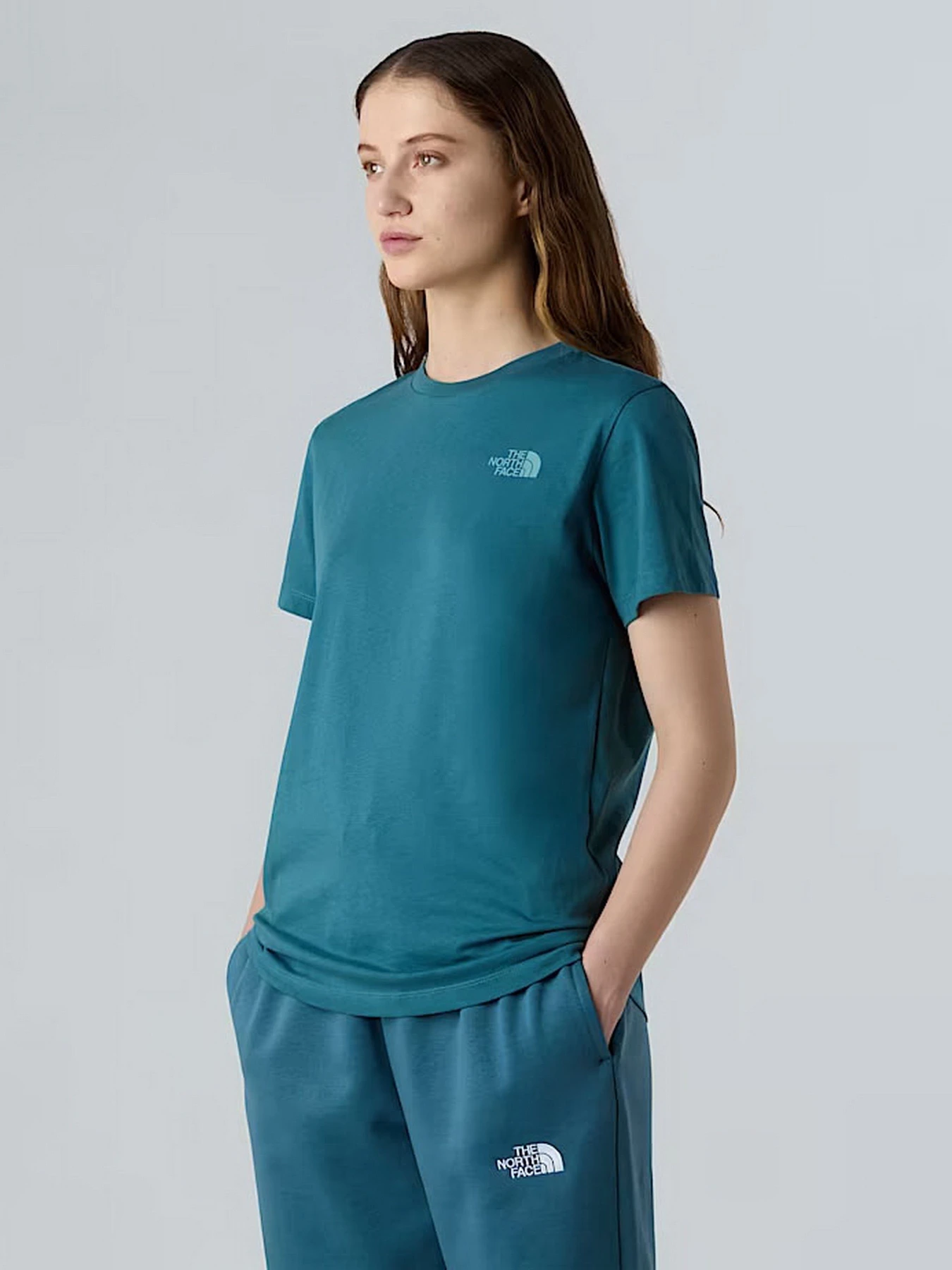 Футболки и поло The North Face NSE Box модель NF0A87NKE311 Футболки и поло The North Face NSE Box модель NF0A87NKE311 Фото