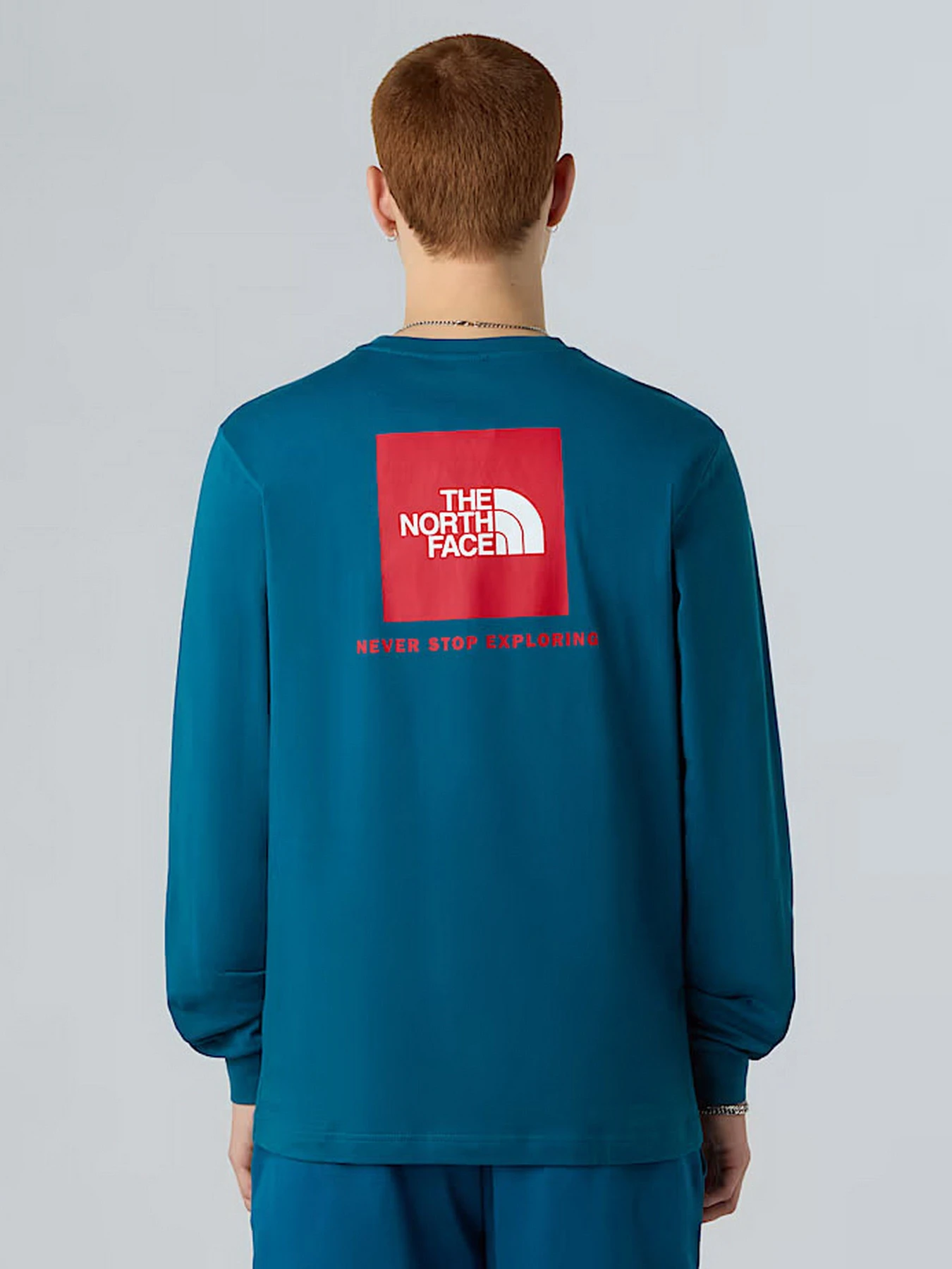 Худи и свитшоты The North Face NSE Box модель NF0A87NNF9T1 Худи и свитшоты The North Face NSE Box модель NF0A87NNF9T1 Фото