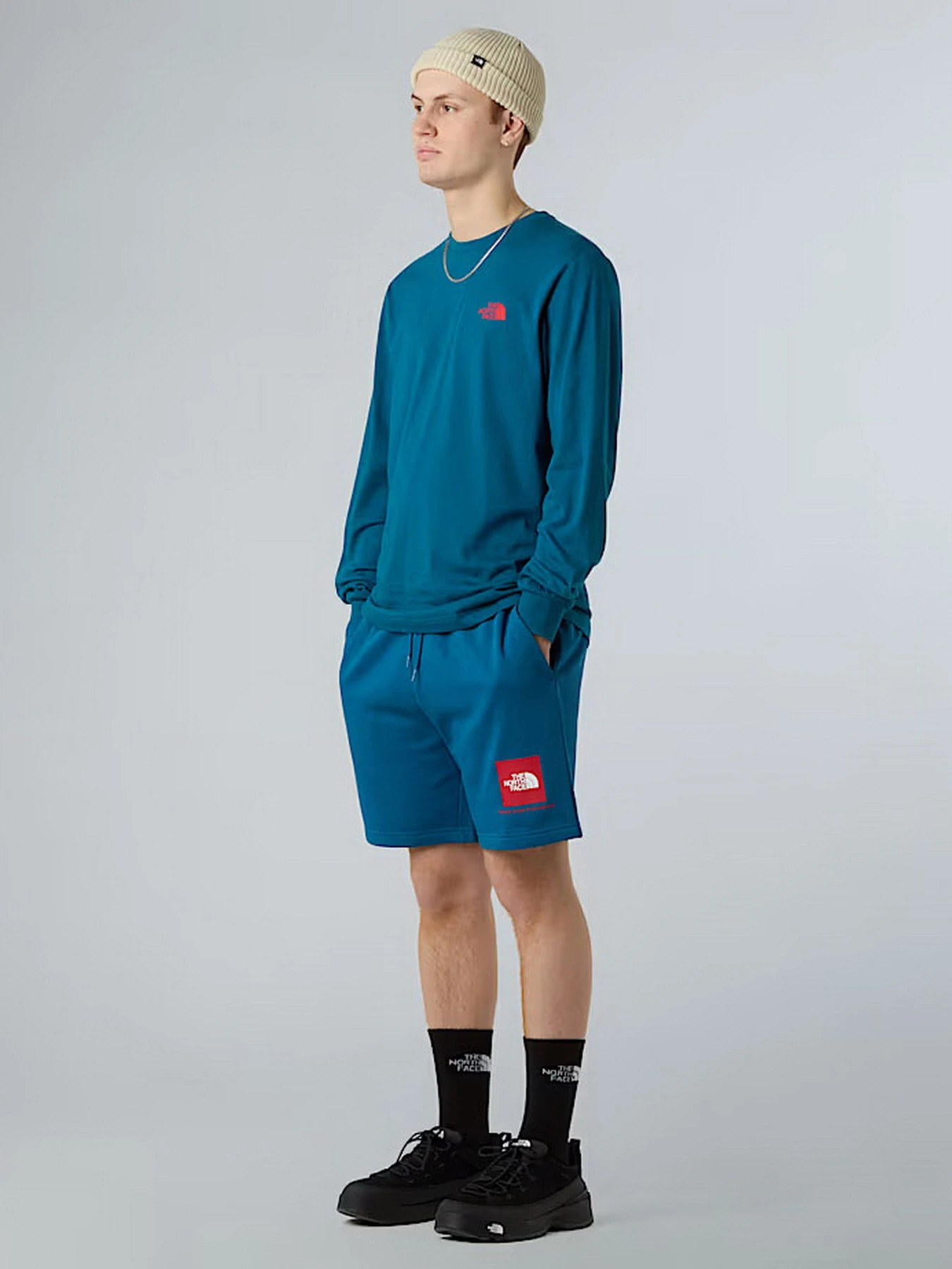 Худи и свитшоты The North Face NSE Box модель NF0A87NNF9T1 Худи и свитшоты The North Face NSE Box модель NF0A87NNF9T1 Фото