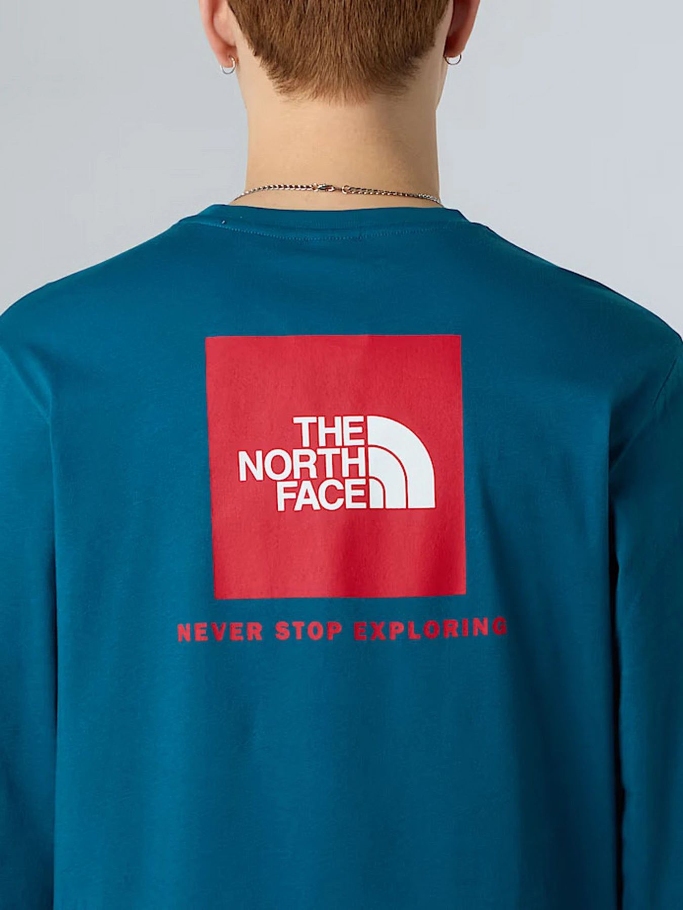 Худи и свитшоты The North Face NSE Box модель NF0A87NNF9T1 Худи и свитшоты The North Face NSE Box модель NF0A87NNF9T1 Фото