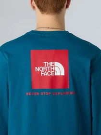 Худи и свитшоты The North Face NSE Box модель NF0A87NNF9T1 Фото