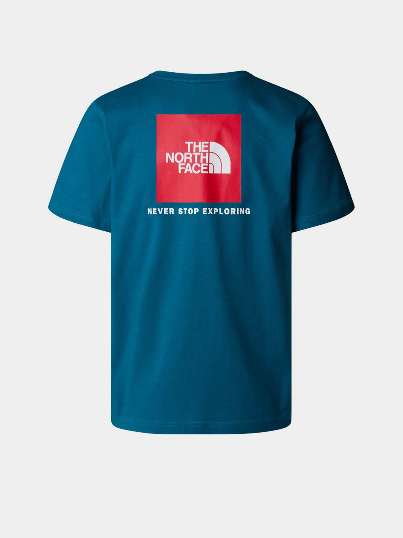 Футболки и поло The North Face NSE Box модель NF0A87NPF9T1 Футболки и поло The North Face NSE Box модель NF0A87NPF9T1 Фото