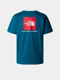 Футболки и поло The North Face NSE Box модель NF0A87NPF9T1 Фото