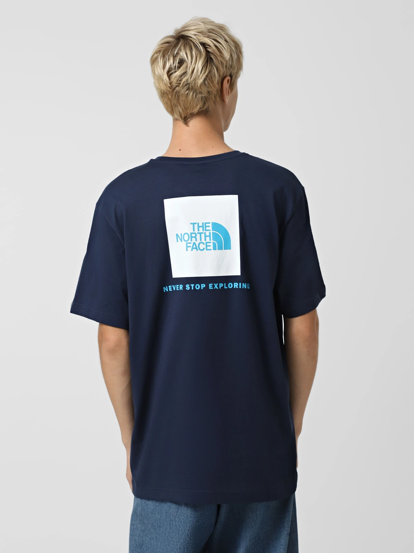 Футболки і поло The North Face NSE Box модель NF0A87NPI851 Футболки і поло The North Face NSE Box модель NF0A87NPI851 Фото