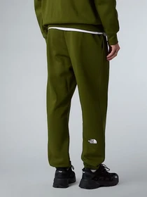 Брюки The North Face Essential модель NF0A8C1FBRI1 Фото