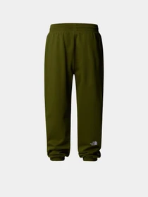 Брюки The North Face Essential модель NF0A8C1FBRI1 Фото