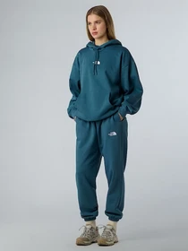 Брюки The North Face Essential модель NF0A8C1GBQ51 Фото