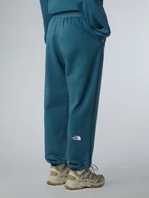 Брюки The North Face Essential модель NF0A8C1GBQ51 Фото