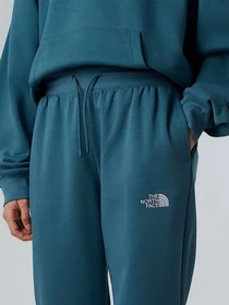 Брюки The North Face Essential модель NF0A8C1GBQ51 Фото
