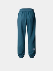 Брюки The North Face Essential модель NF0A8C1GBQ51 Фото