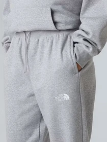 Брюки The North Face Essential модель NF0A8C1GDYX1 Фото