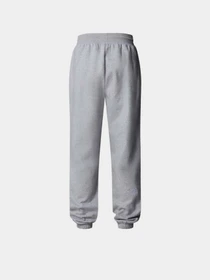 Брюки The North Face Essential модель NF0A8C1GDYX1 Фото
