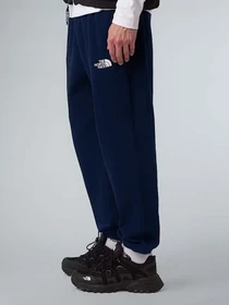 Брюки The North Face Simple Dome модель NF0A8C1W8K21 Фото