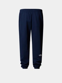 Брюки The North Face Simple Dome модель NF0A8C1W8K21 Фото