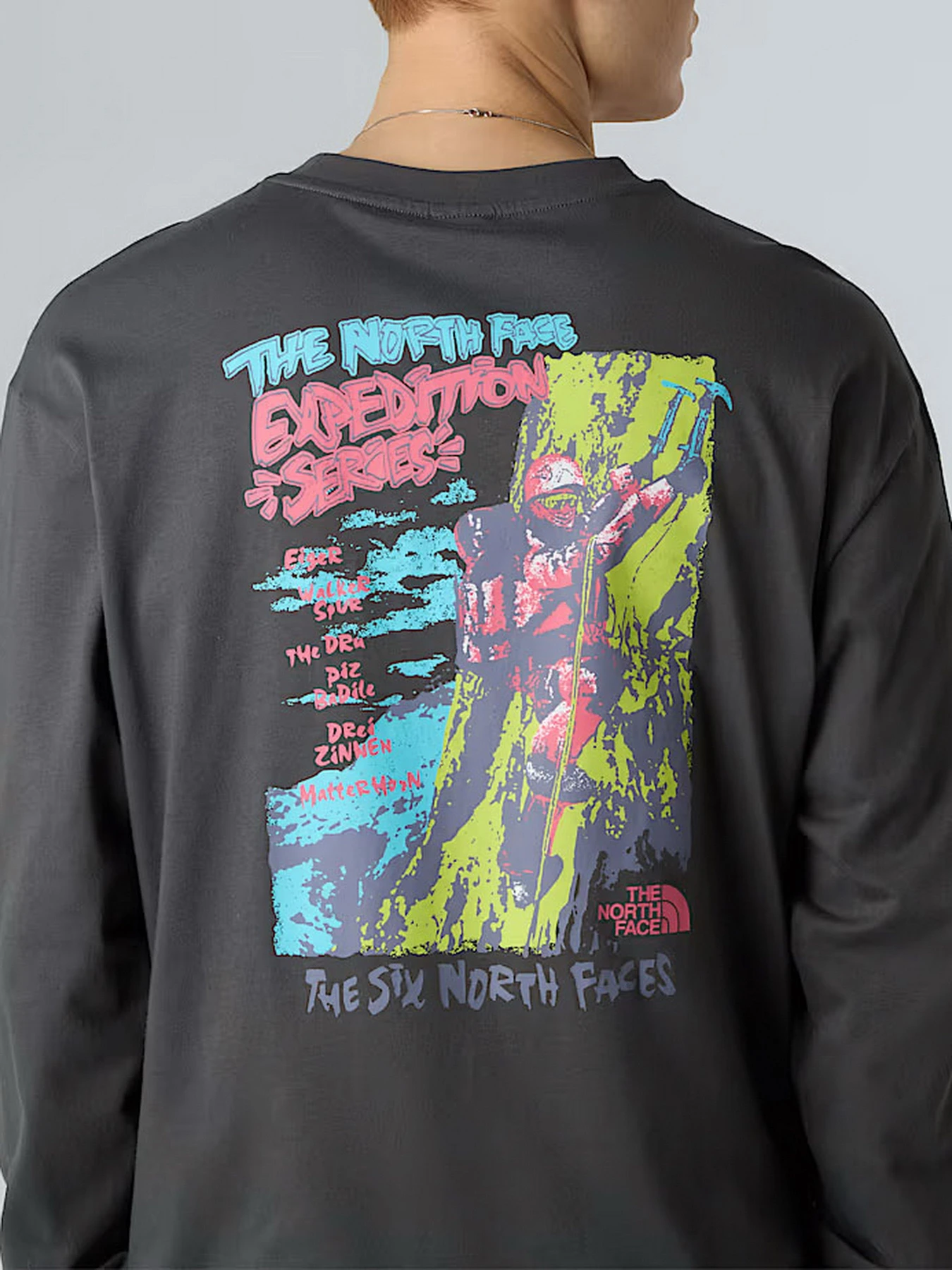 Худи и свитшоты The North Face Expedition Celebration модель NF0A8E3DRHI1 Худи и свитшоты The North Face Expedition Celebration модель NF0A8E3DRHI1 Фото