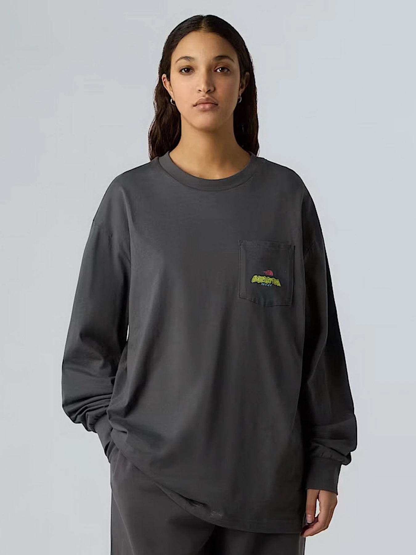 Худи и свитшоты The North Face Expedition Celebration модель NF0A8E3DRHI1 Худи и свитшоты The North Face Expedition Celebration модель NF0A8E3DRHI1 Фото