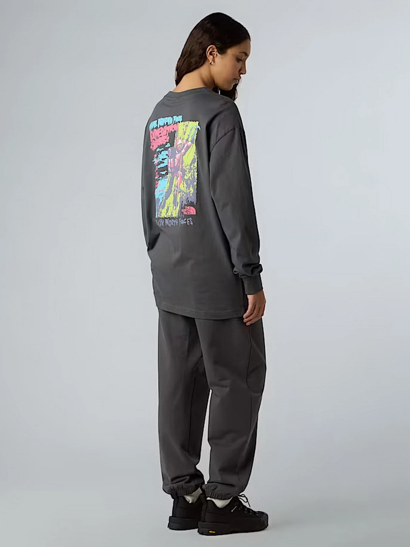 Худи и свитшоты The North Face Expedition Celebration модель NF0A8E3DRHI1 Худи и свитшоты The North Face Expedition Celebration модель NF0A8E3DRHI1 Фото