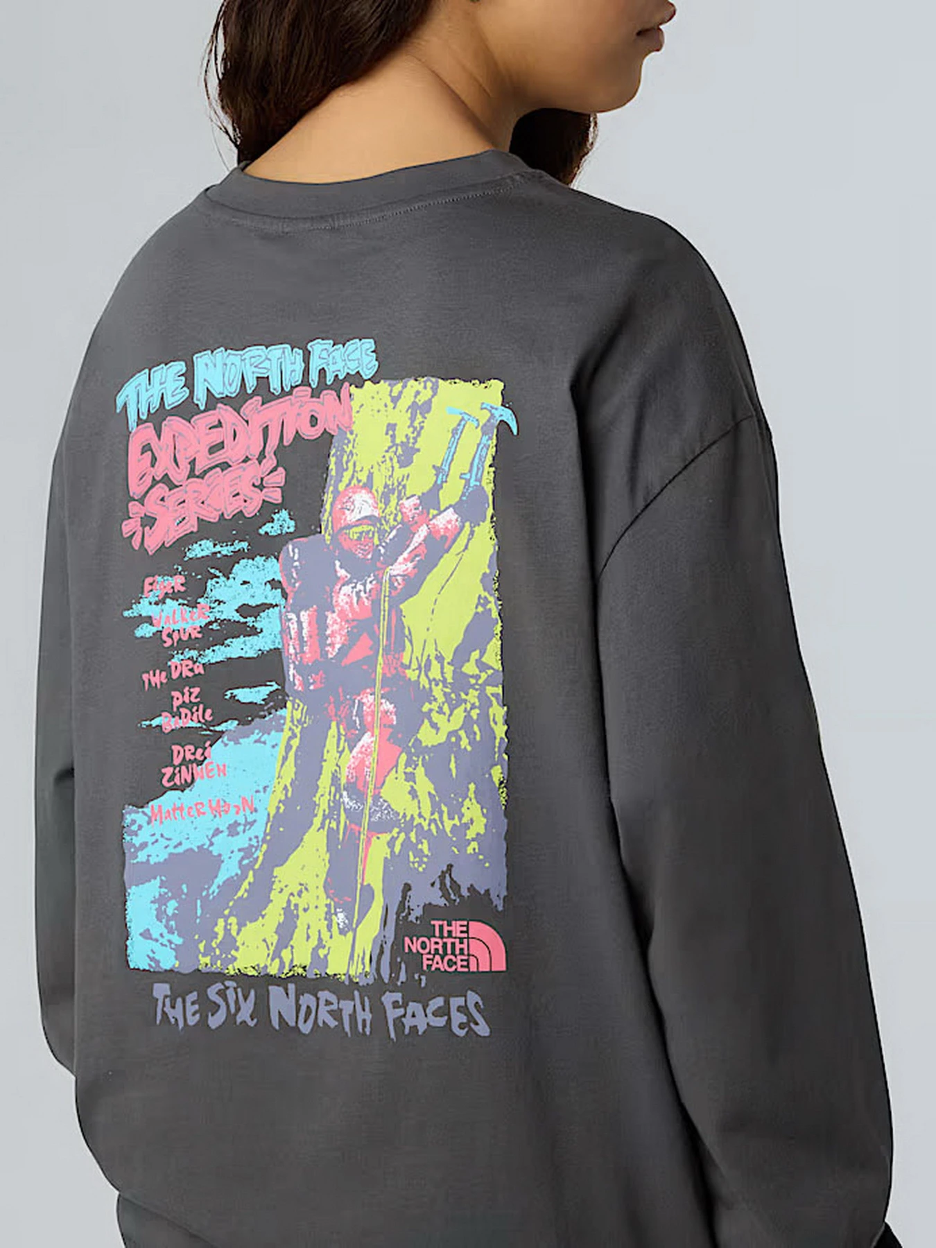 Худи и свитшоты The North Face Expedition Celebration модель NF0A8E3DRHI1 Худи и свитшоты The North Face Expedition Celebration модель NF0A8E3DRHI1 Фото