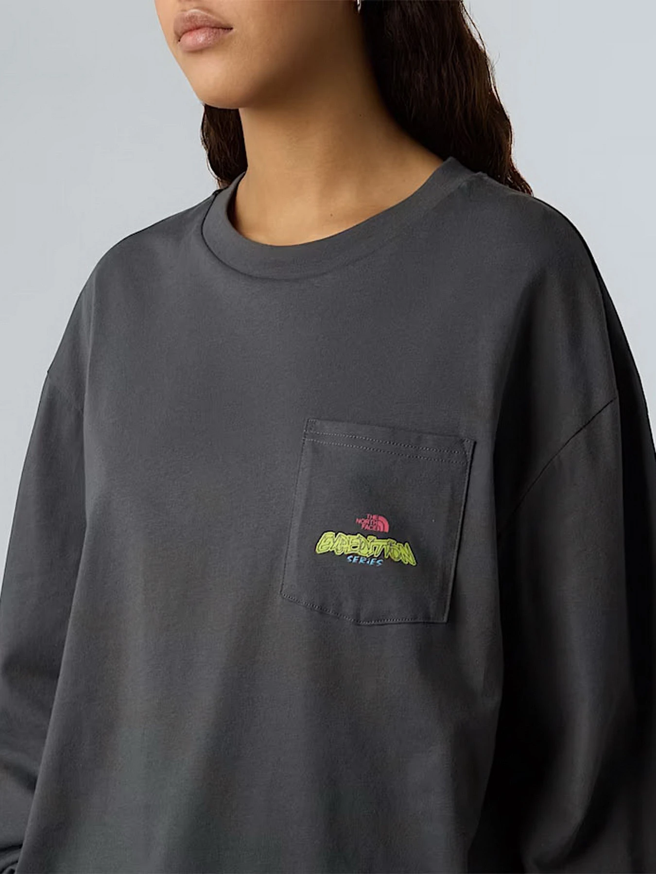 Худи и свитшоты The North Face Expedition Celebration модель NF0A8E3DRHI1 Худи и свитшоты The North Face Expedition Celebration модель NF0A8E3DRHI1 Фото