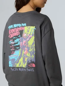 Худи и свитшоты The North Face Expedition Celebration модель NF0A8E3DRHI1 Фото