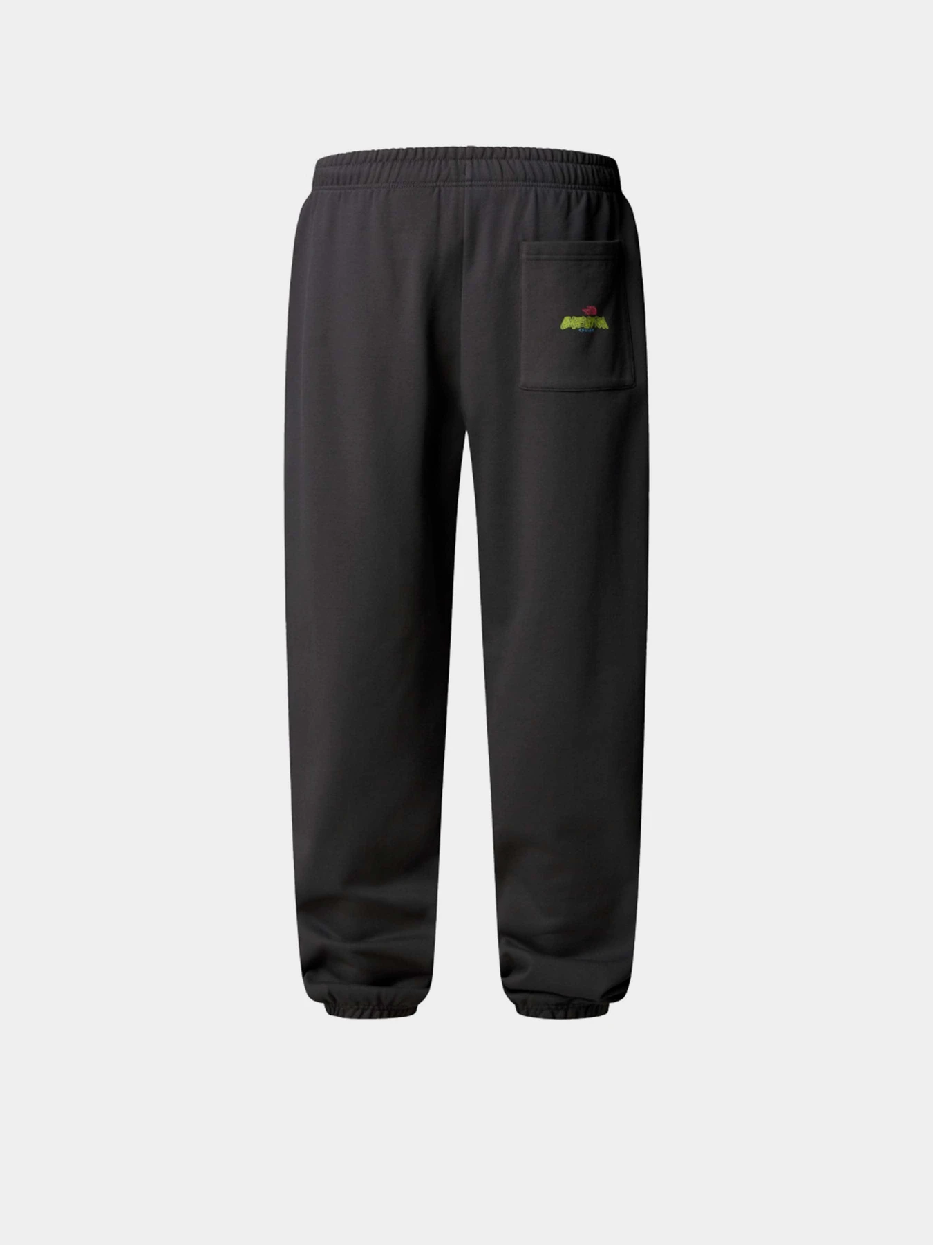 Штани The North Face Expedition Celebration модель NF0A8E3ERHI1 Фото