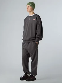 Штани The North Face Expedition Celebration модель NF0A8E3ERHI1 Фото