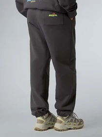 Штани The North Face Expedition Celebration модель NF0A8E3ERHI1 Фото