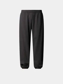 Штани The North Face Expedition Celebration модель NF0A8E3ERHI1 Фото