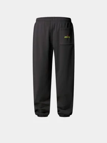 Штани The North Face Expedition Celebration модель NF0A8E3ERHI1 Фото