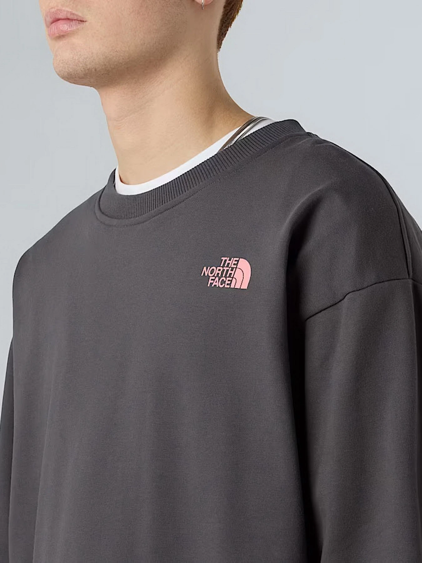 Худи и свитшоты The North Face Expedition Celebration модель NF0A8E3GRHI1 Фото