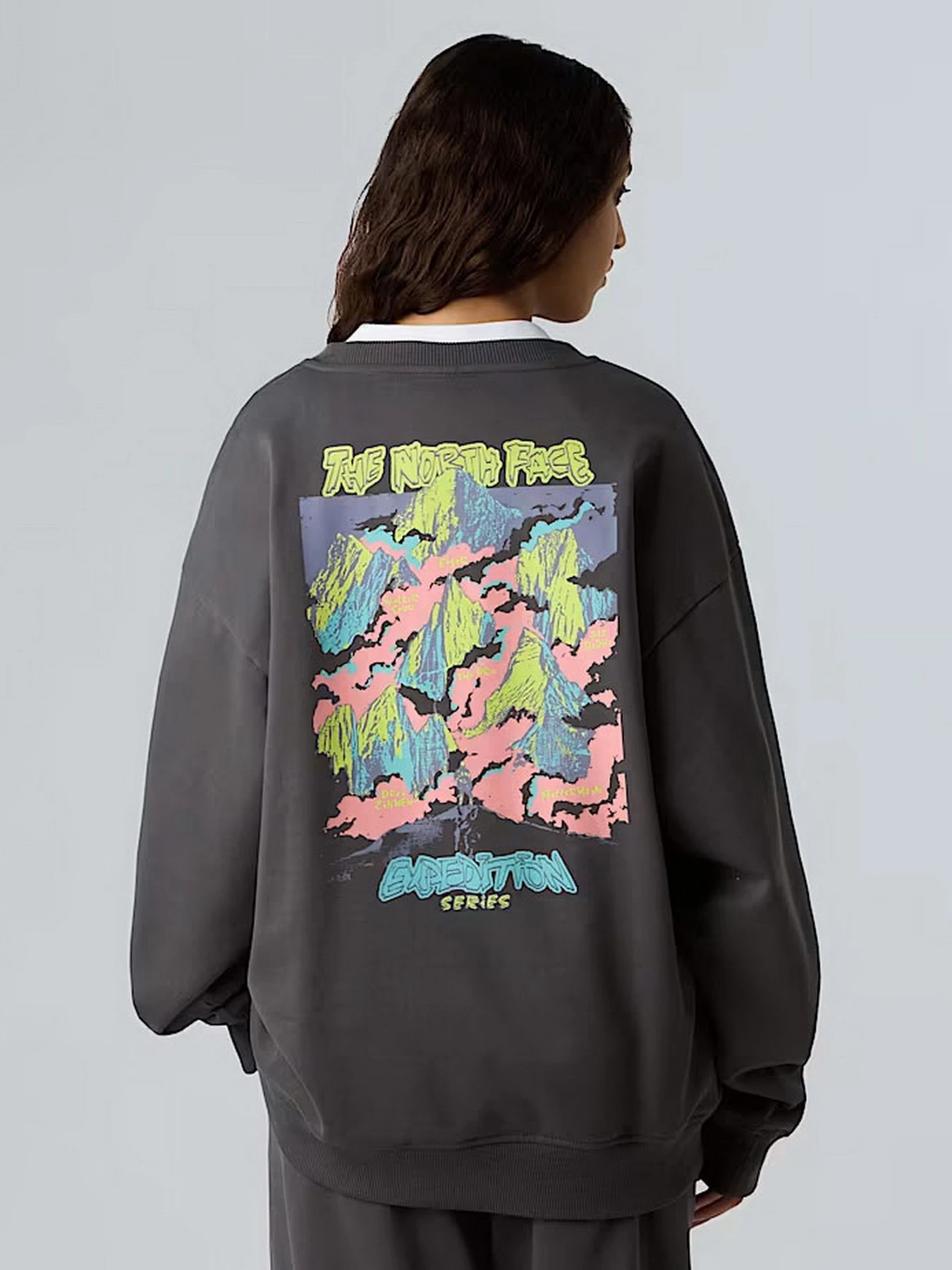 Худи и свитшоты The North Face Expedition Celebration модель NF0A8E3GRHI1 Фото