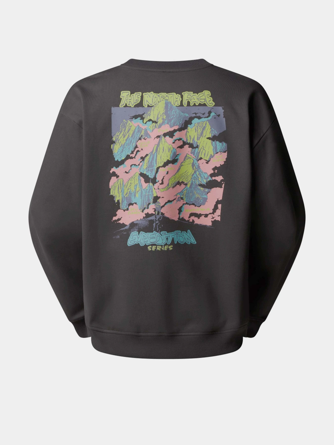 Худи и свитшоты The North Face Expedition Celebration модель NF0A8E3GRHI1 Фото