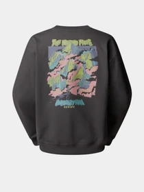 Худи и свитшоты The North Face Expedition Celebration модель NF0A8E3GRHI1 Фото