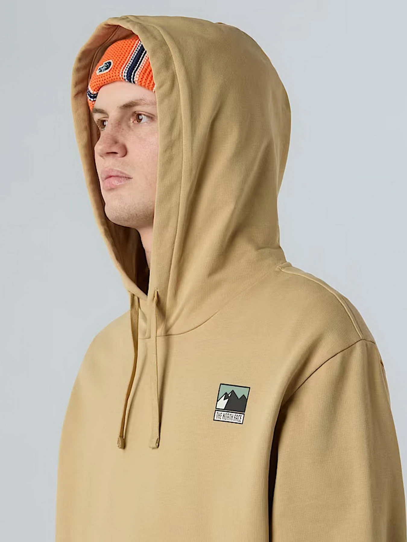 Худи и свитшоты The North Face Mountain Logo модель NF0A8E3NLK51 Фото
