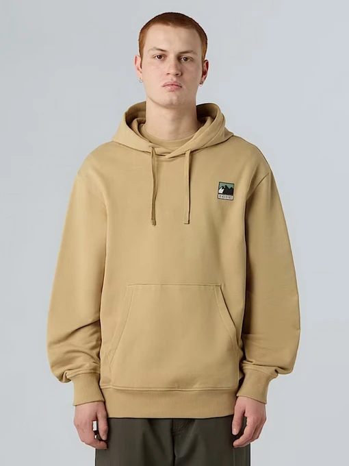 Худи и свитшоты The North Face Mountain Logo модель NF0A8E3NLK51 Фото