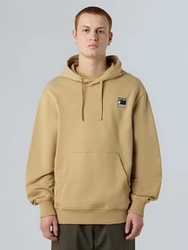 Худи и свитшоты The North Face Mountain Logo модель NF0A8E3NLK51 Фото