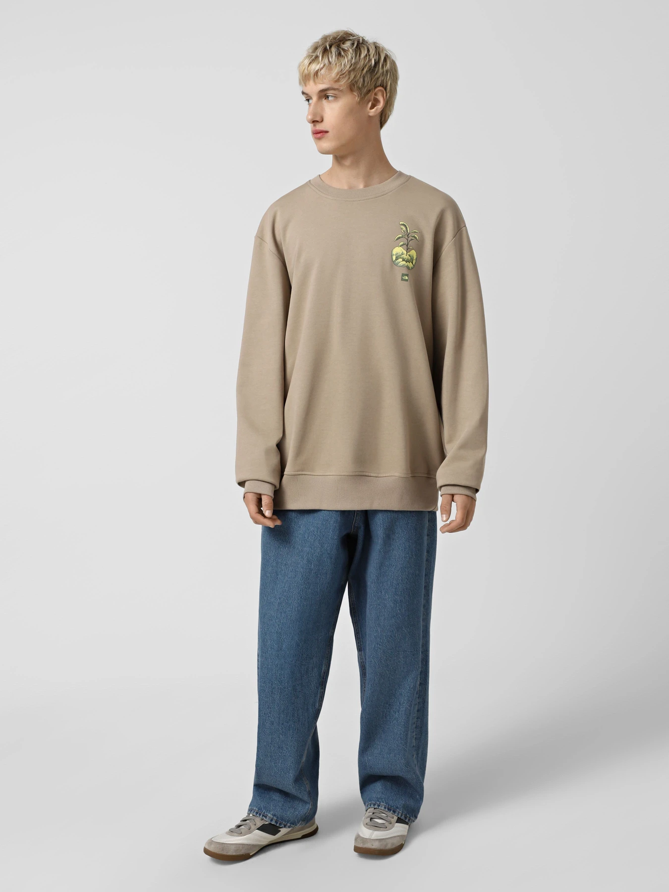 Худи и свитшоты The North Face Connect модель NF0A8E3ZBOX1 Худи и свитшоты The North Face Connect модель NF0A8E3ZBOX1 Фото
