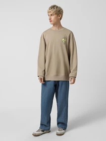 Худи и свитшоты The North Face Connect модель NF0A8E3ZBOX1 Фото