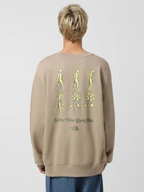Худи и свитшоты The North Face Connect модель NF0A8E3ZBOX1 Фото