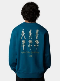 Худи и свитшоты The North Face Connect модель NF0A8E3ZBSI1 Фото