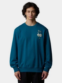 Худі та світшоти The North Face Connect модель NF0A8E3ZBSI1 Фото