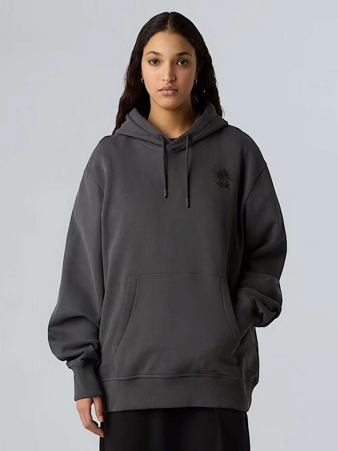 Худі та світшоти The North Face Powder Days модель NF0A8E4G0C51 Худі та світшоти The North Face Powder Days модель NF0A8E4G0C51 Фото