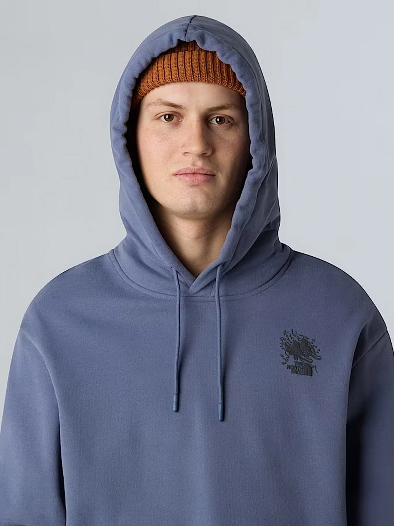 Худі та світшоти The North Face Powder Days модель NF0A8E4GBTR1 Худі та світшоти The North Face Powder Days модель NF0A8E4GBTR1 Фото