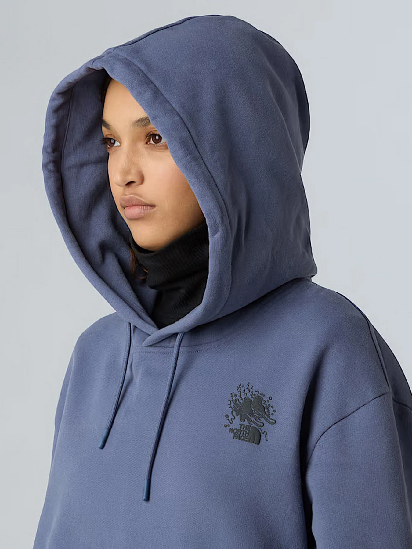 Худі та світшоти The North Face Powder Days модель NF0A8E4GBTR1 Худі та світшоти The North Face Powder Days модель NF0A8E4GBTR1 Фото