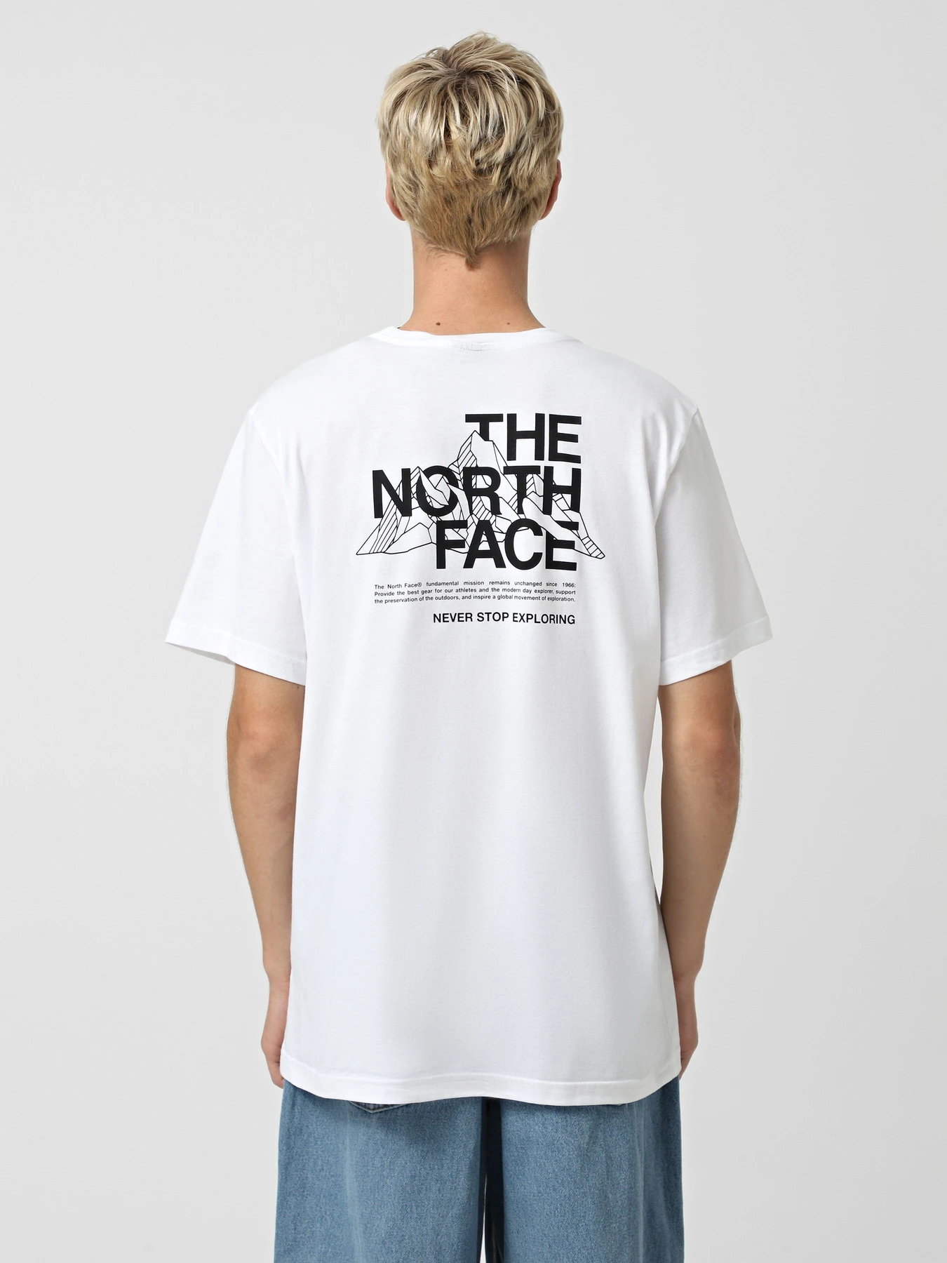 Футболки і поло The North Face Mountain Sketch модель NF0A8EE8FN41 Футболки і поло The North Face Mountain Sketch модель NF0A8EE8FN41 Фото