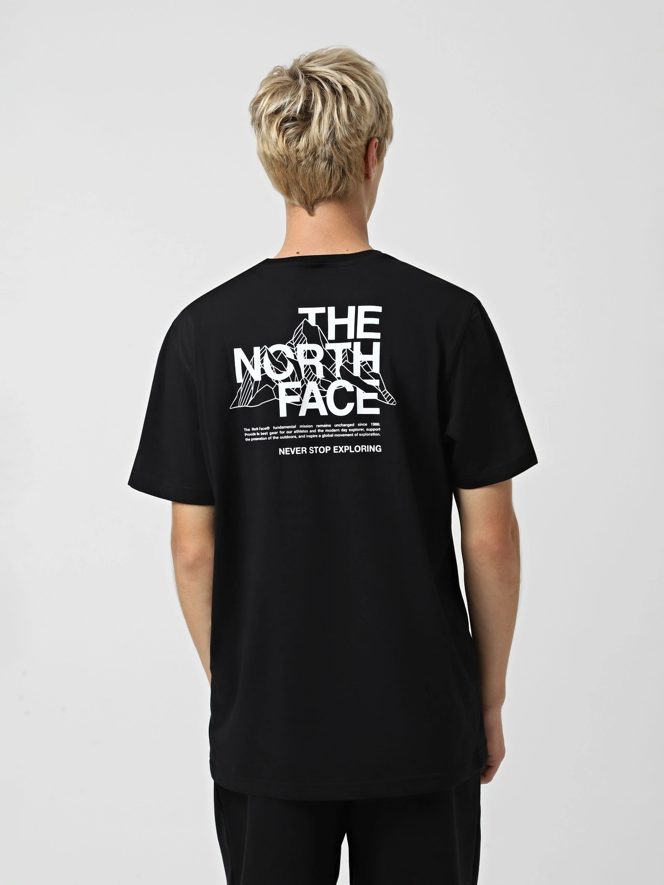 Футболки и поло The North Face Mountain Sketch модель NF0A8EE8JK31 Футболки и поло The North Face Mountain Sketch модель NF0A8EE8JK31 Фото