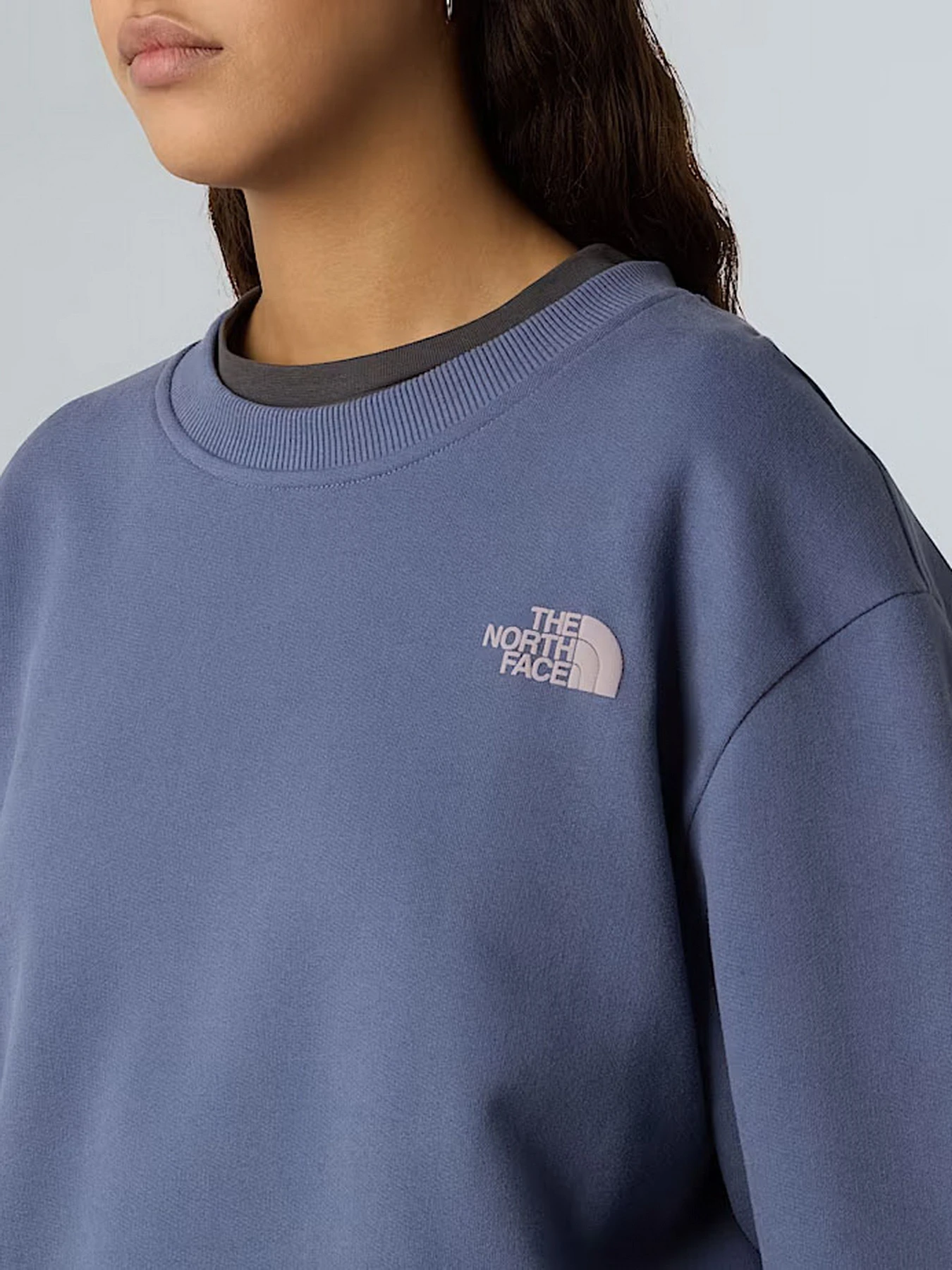 Худи и свитшоты The North Face модель NF0A8EU5BTR1 Худи и свитшоты The North Face модель NF0A8EU5BTR1 Фото