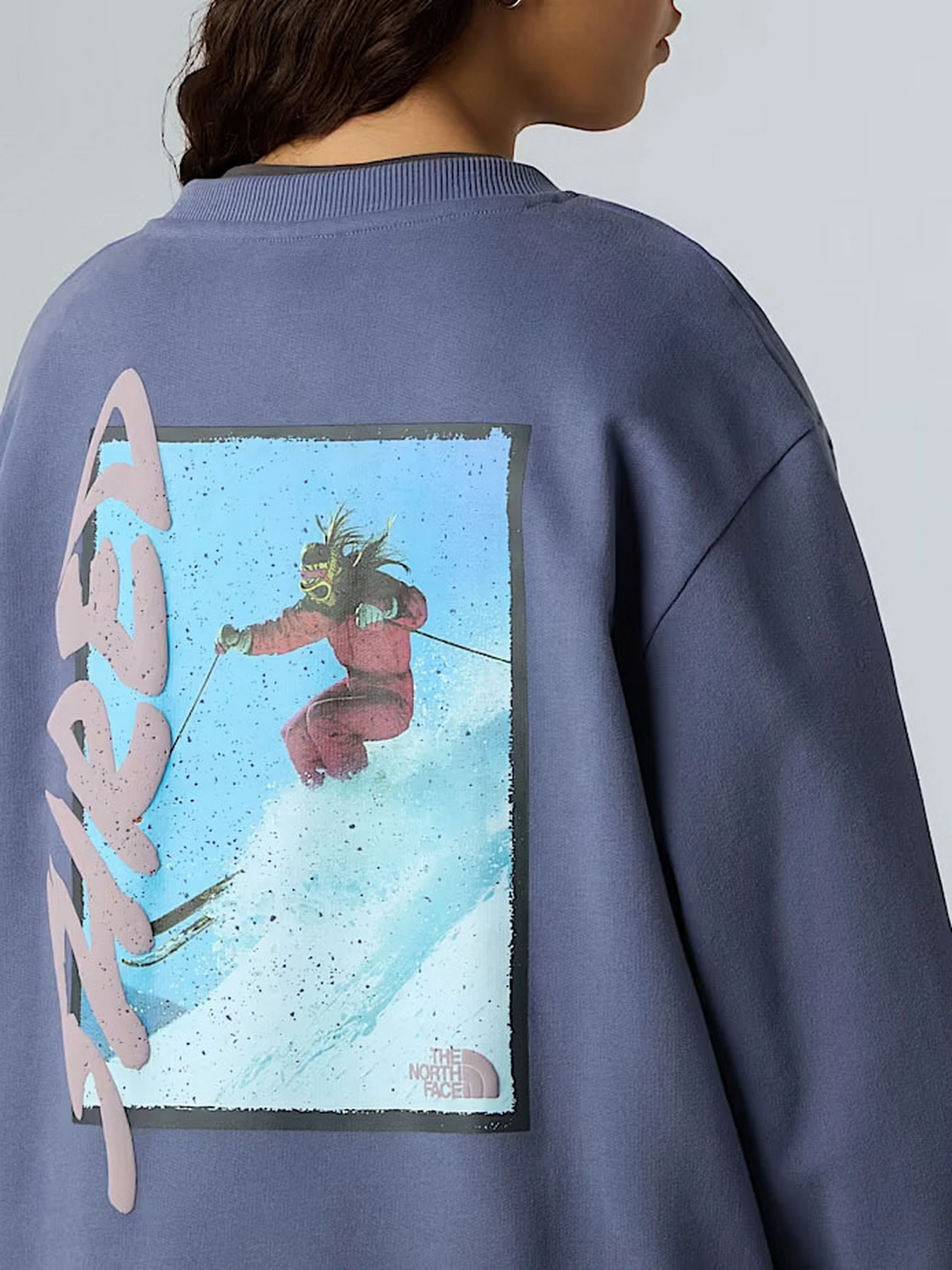 Худи и свитшоты The North Face модель NF0A8EU5BTR1 Худи и свитшоты The North Face модель NF0A8EU5BTR1 Фото
