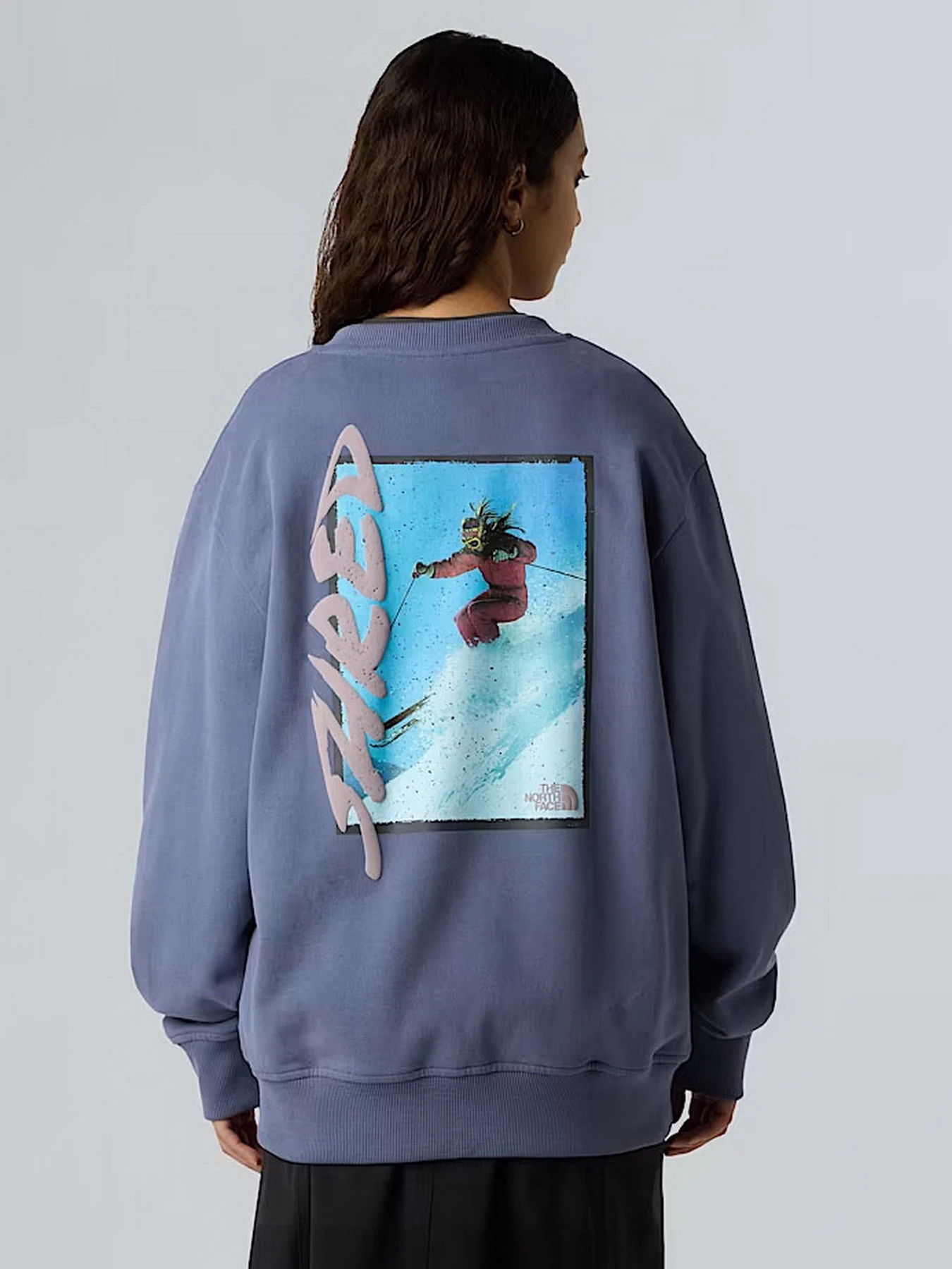 Худи и свитшоты The North Face модель NF0A8EU5BTR1 Худи и свитшоты The North Face модель NF0A8EU5BTR1 Фото